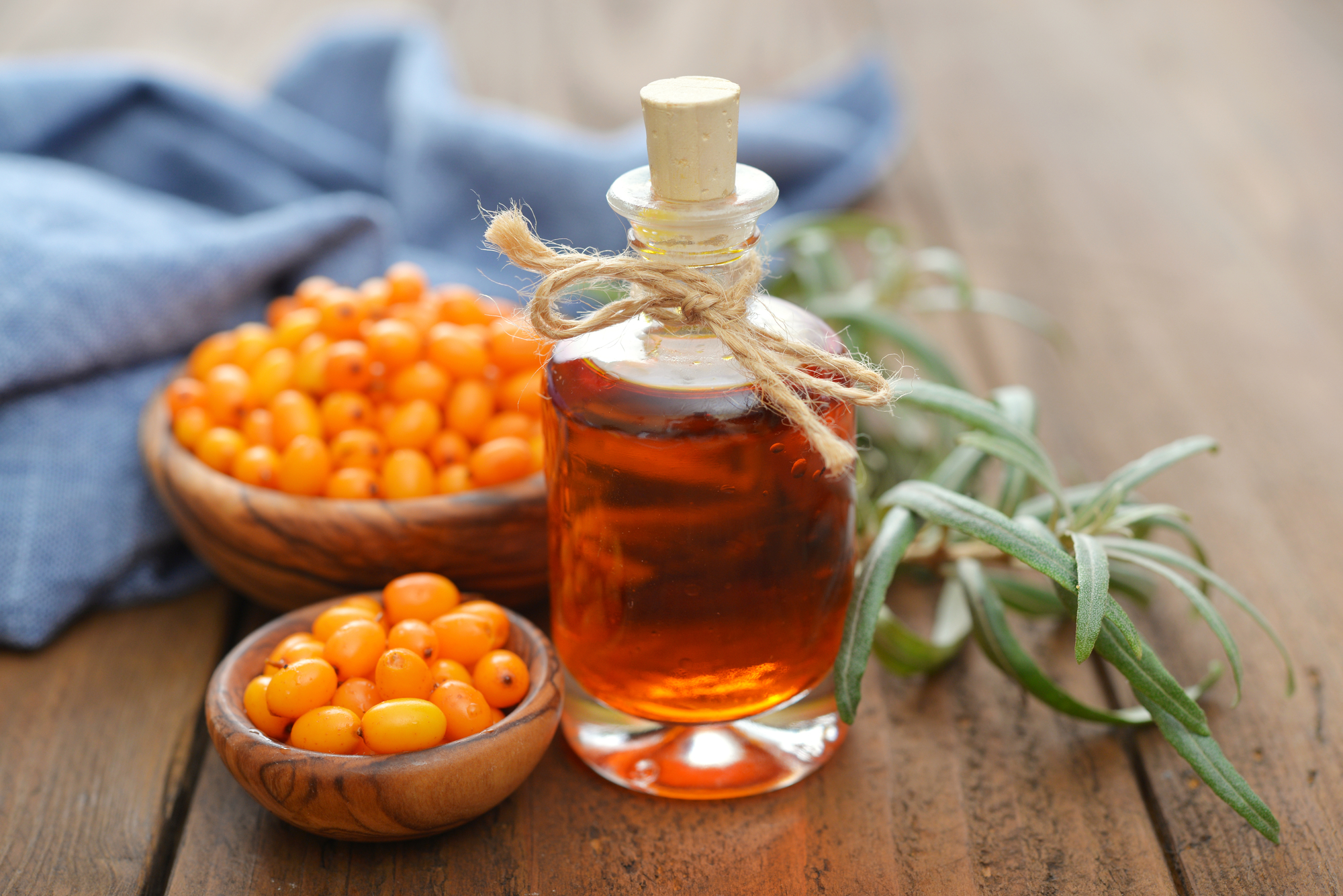 Sea buckthorn oil ingredient review